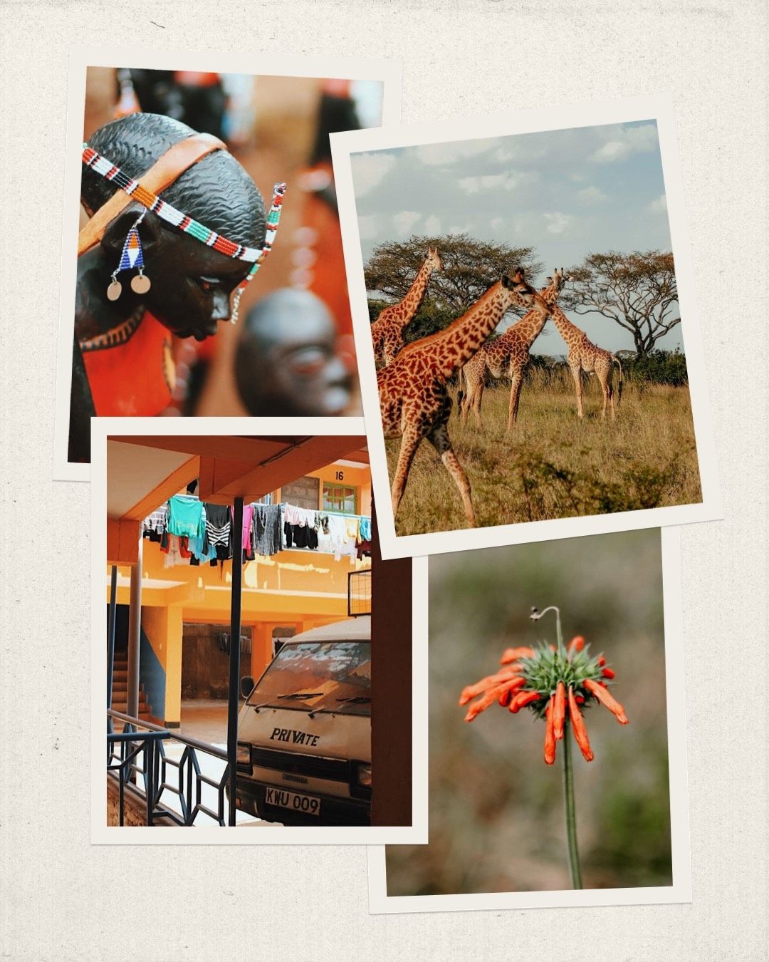 collage of images from kenya including giraffes flower art and homestead travel photography