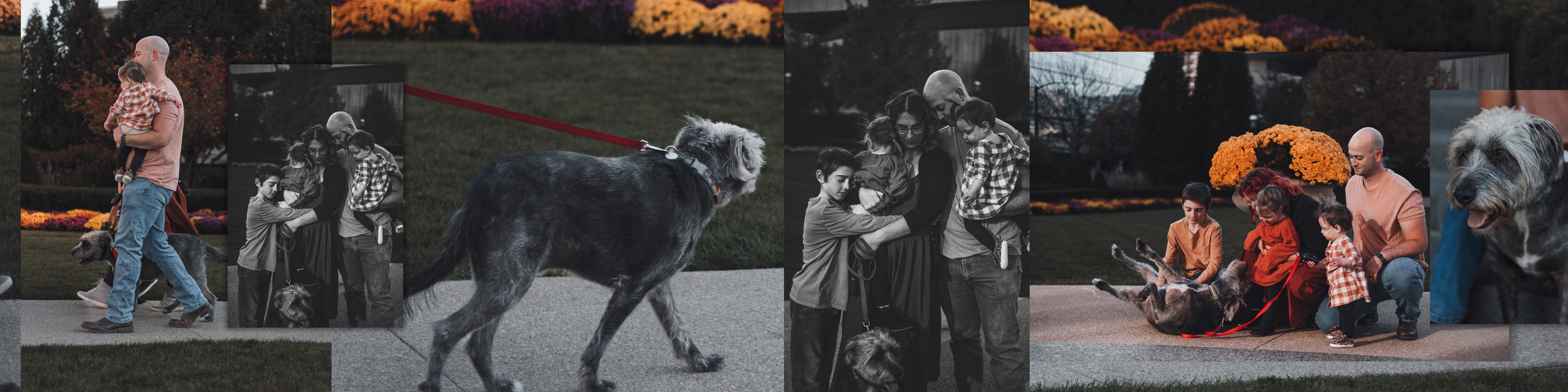 family session by Jade Made