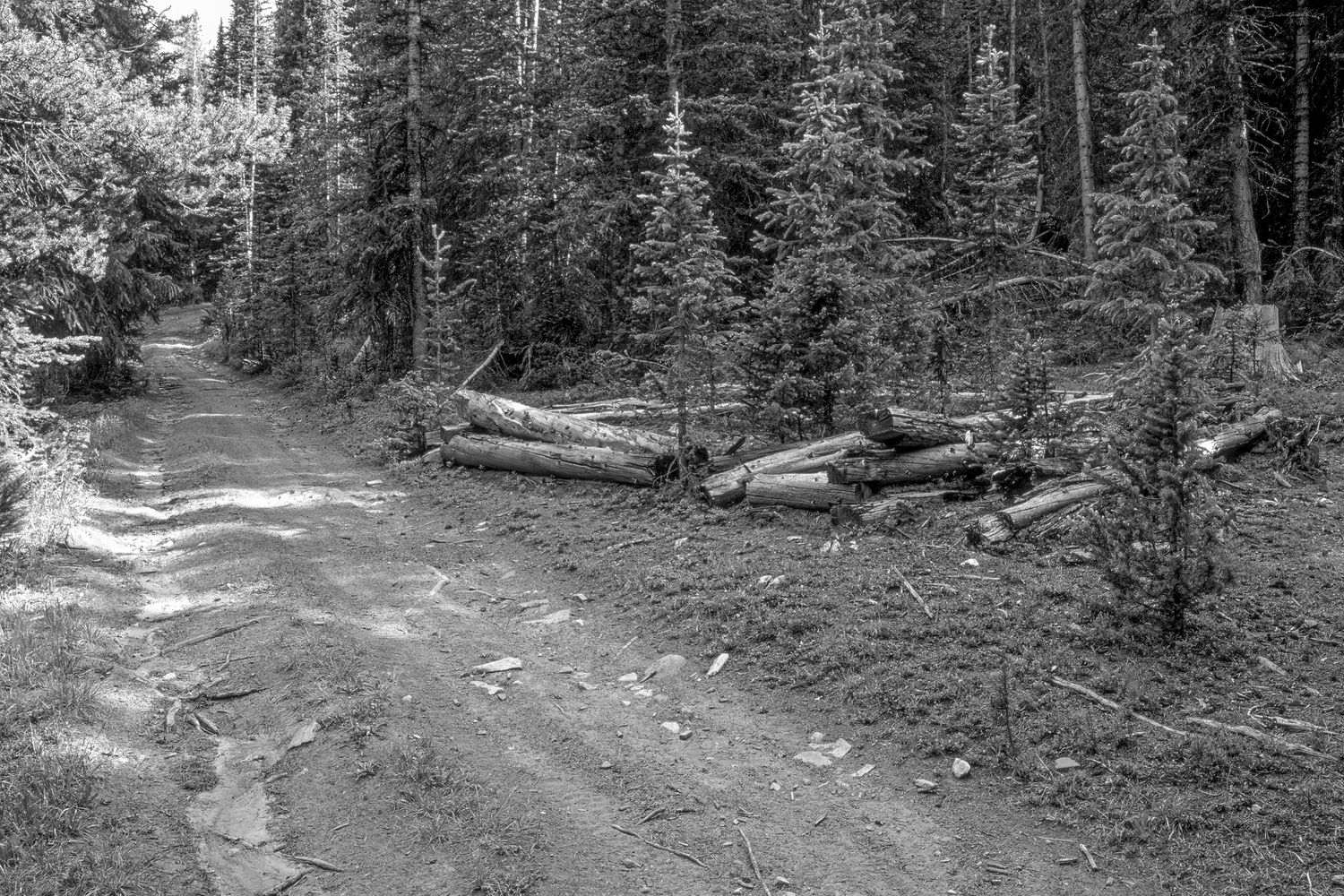 Conger's Camp, Colorado