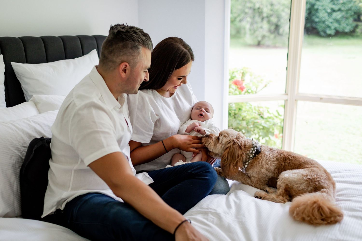 Family relaxes on bed with their goldendoodle dog and infant by window.