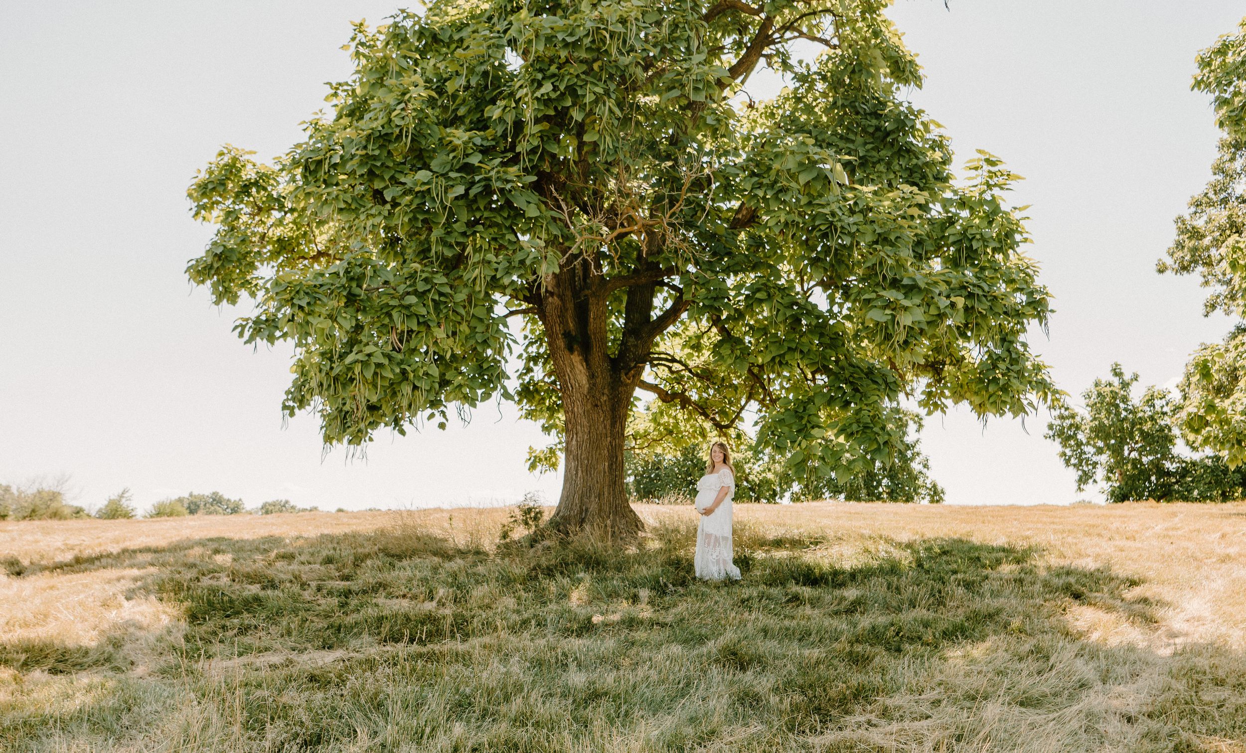 Pregnant mother standing gracefully under a tree in a wide open field, capturing the peaceful serenity & beauty of her maternity gown