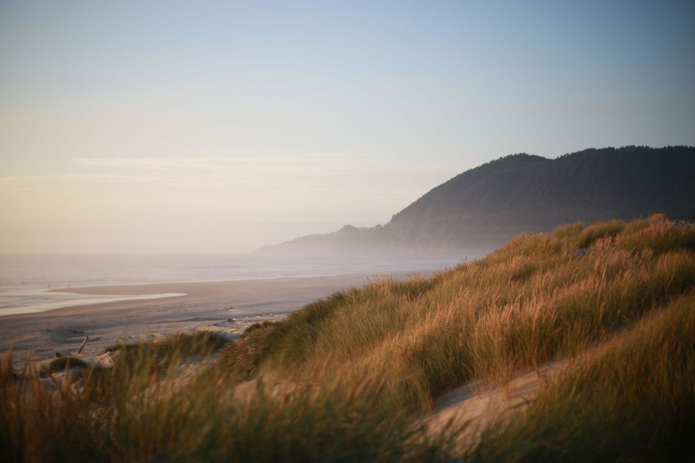 A golden hour picture of beach dunes with a mountain in the background