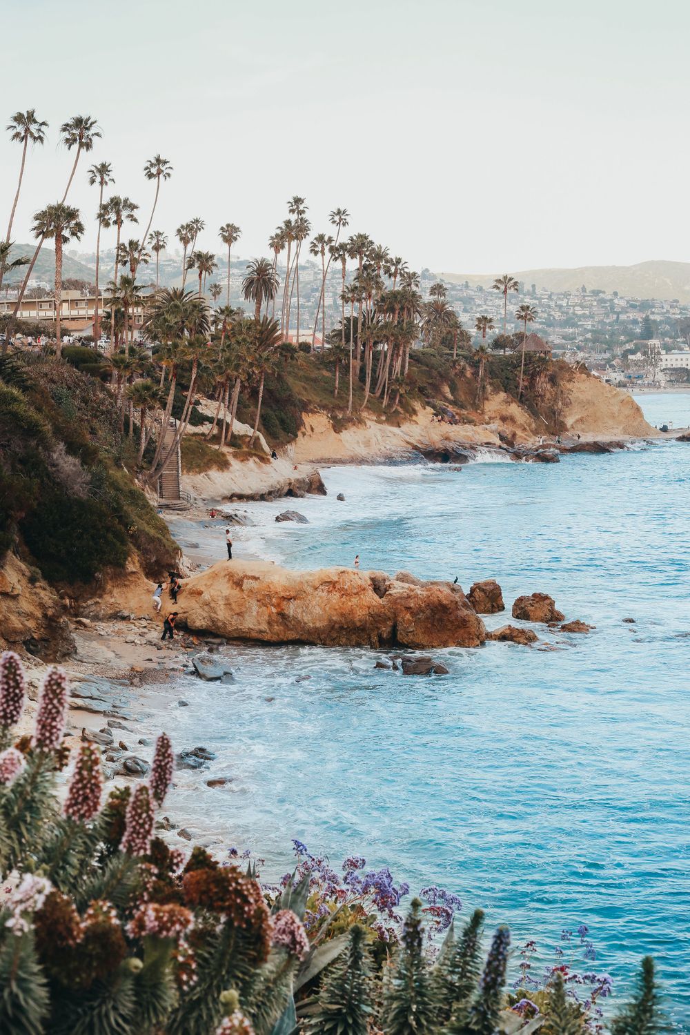 Laguna Beach coastline with rocks and palm trees