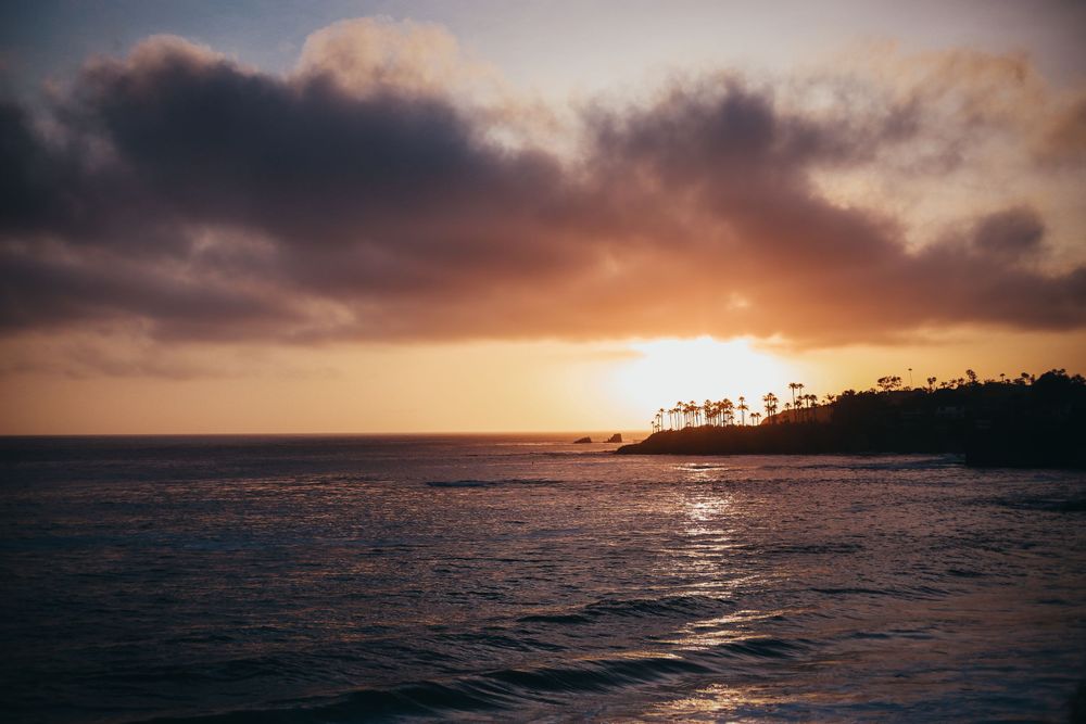A golden sunset behind a silhouette of palm trees in California