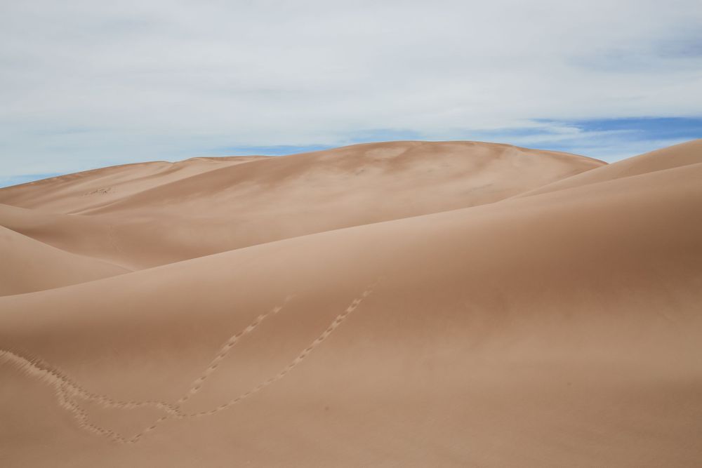 A minimalistic view of Great Sand Dunes National Park