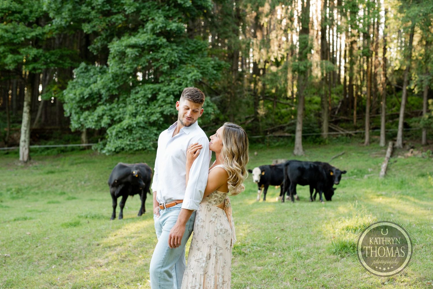 A couple embraces in a scenic field with black cattle grazing in the background.