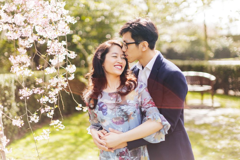 Romantic spring moment under blooming cherry blossoms in a sunlit garden.