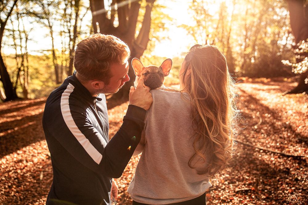 cute portrait of a couple holding their puppy in golden light in Epping Forest