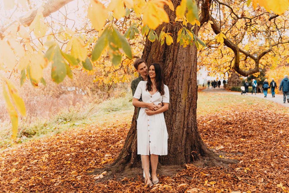 A romantic autumn portrait of a couple standing together by a large tree with golden leaves.