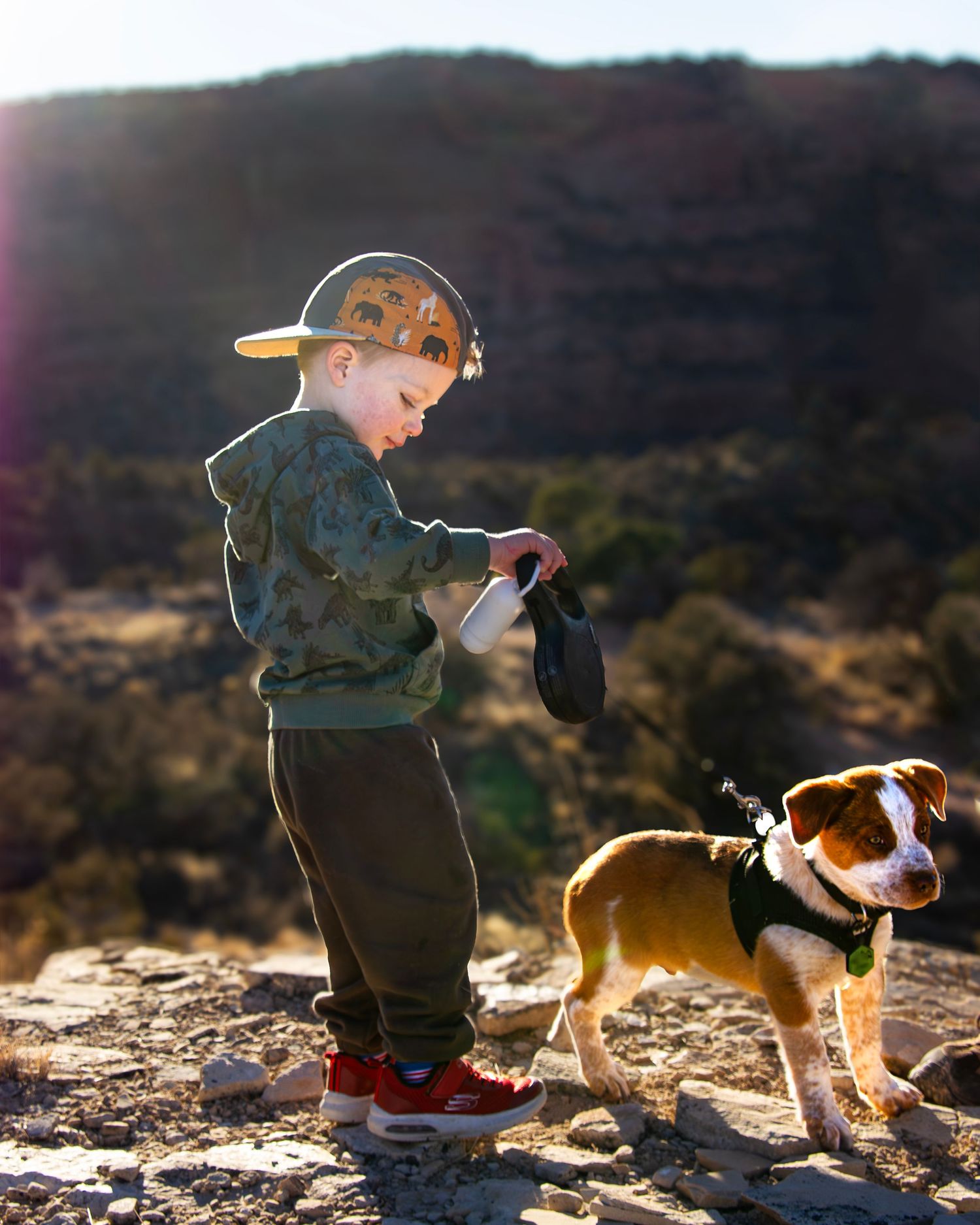 A portrait photo of a young boy and his dog for the website WhiteFlamingoPhotos.com