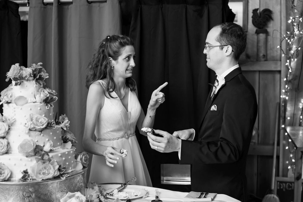 Cake cutting during wedding reception at Crystal Brook Farm in Chagrin Falls, Ohio.