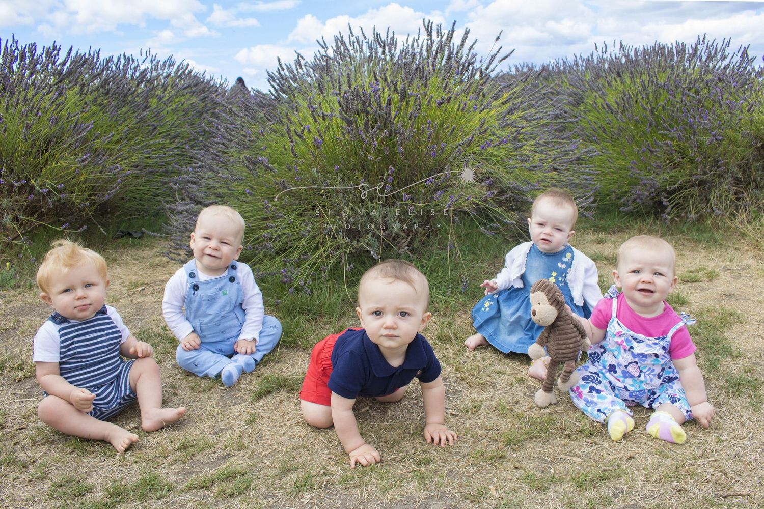 Sitter Milestone Photograph