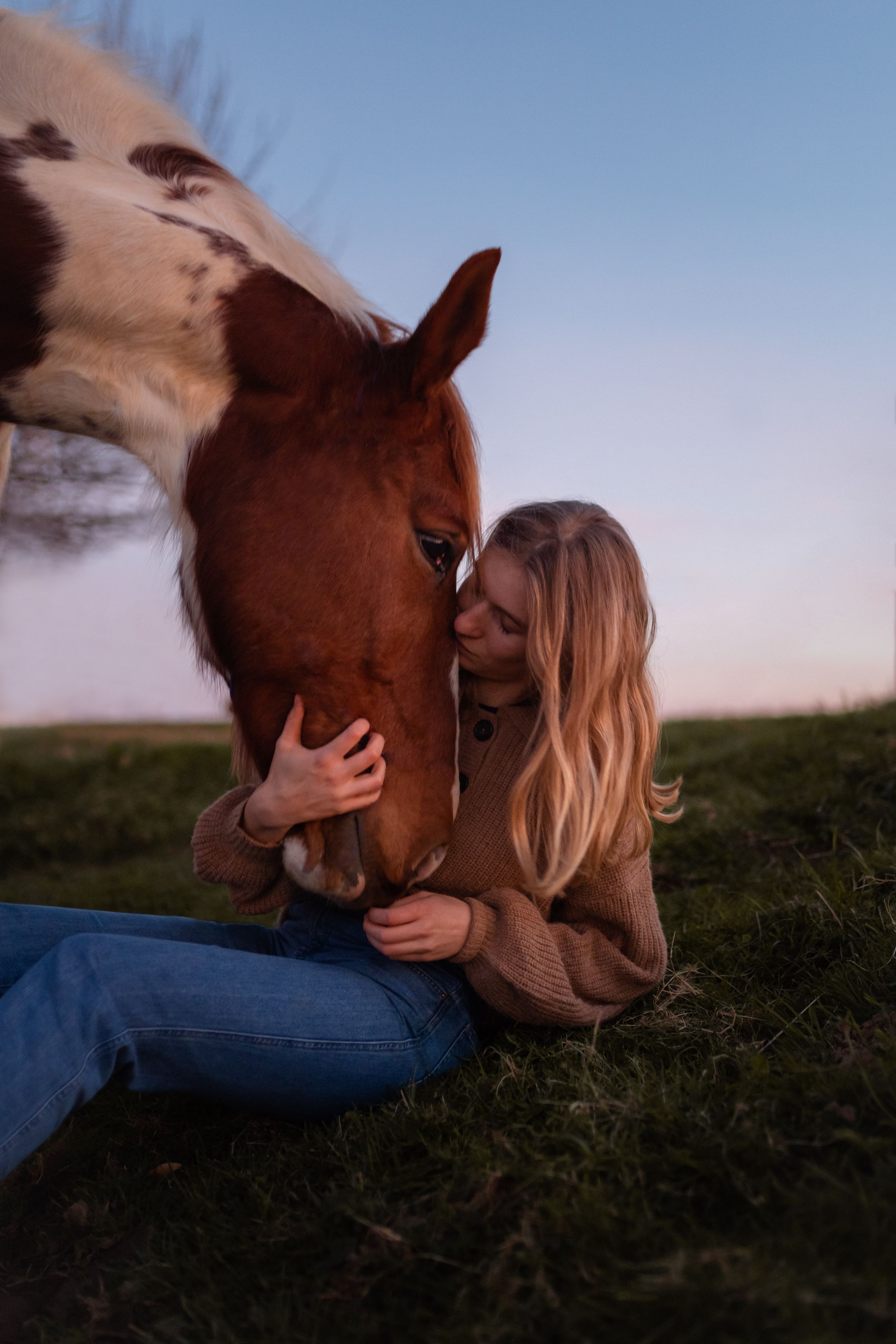 Photographe équestre cheval et sa cavalière