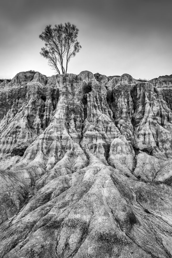 Black and white landscape of eroded badlands formations with lone tree silhouetted against cloudy sky.