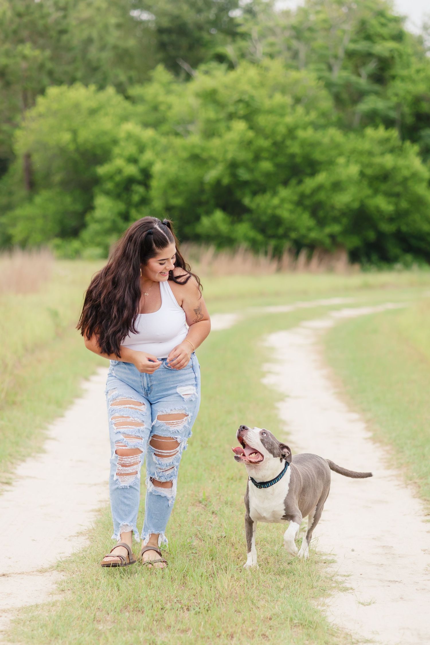 A pit bull and their companion walk together on a dirt path surrounded by lush greenery.