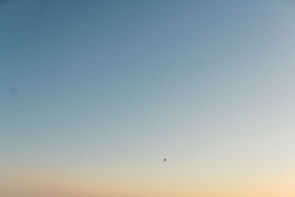 Minimalist sunset sky with clear blue gradient and tiny bird silhouette.