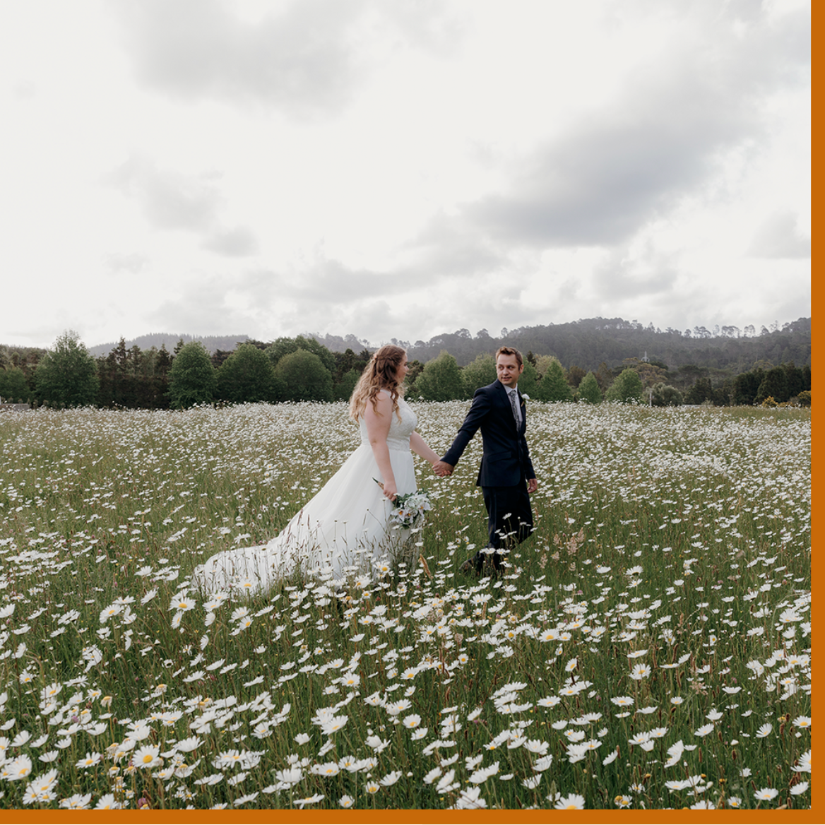 wedding couple walk through a large field of daisies while holding hands, the groom leads his bride