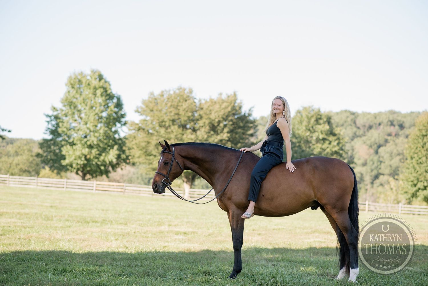 Equestrian sitting astride bay horse in sunlit meadow with trees.