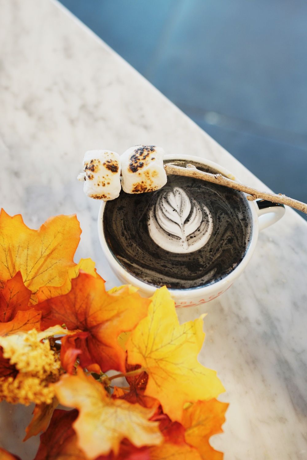 Artistic coffee presentation with leaf latte art and toasted marshmallows against fall decor.