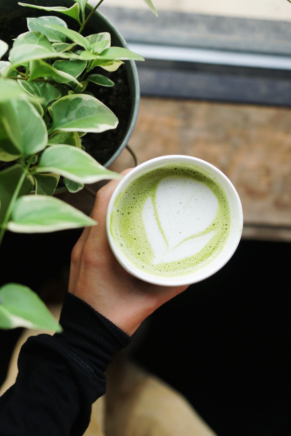 Matcha latte with leaf art design next to potted plant by window.