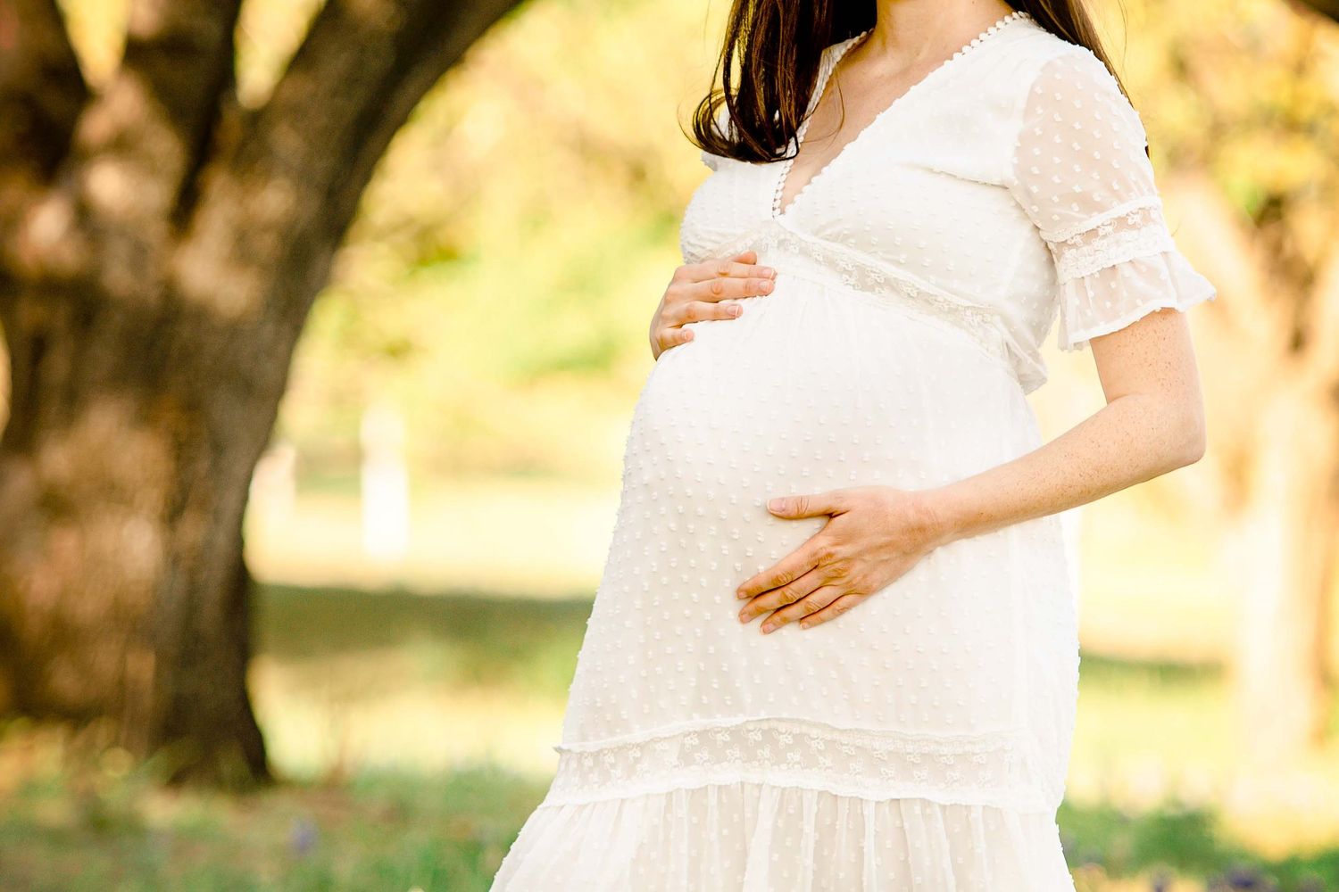 outdoor natural light with tree Maternity portrait photograph with a mom holding tummy