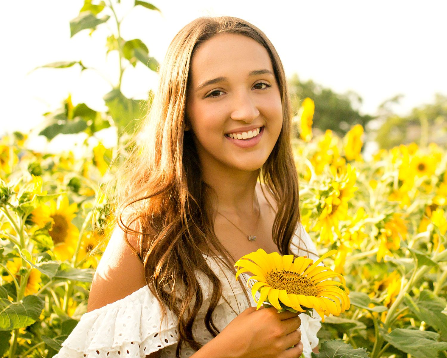 Sunflower Mini Photography Sessions Omaha, NE - BrightSide Photography