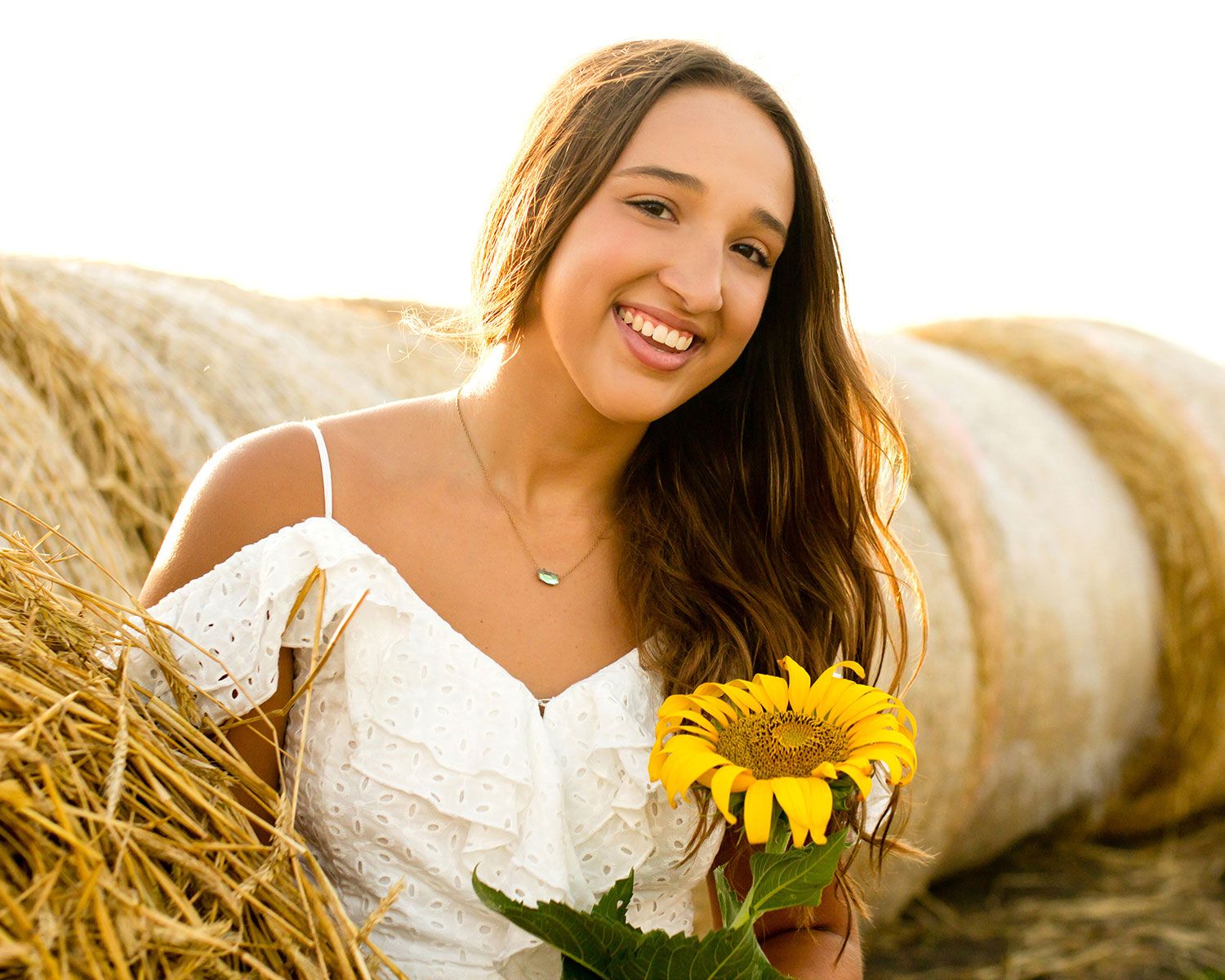 Sunflower Mini Photography Sessions Elkhorn, NE - BrightSide Photography