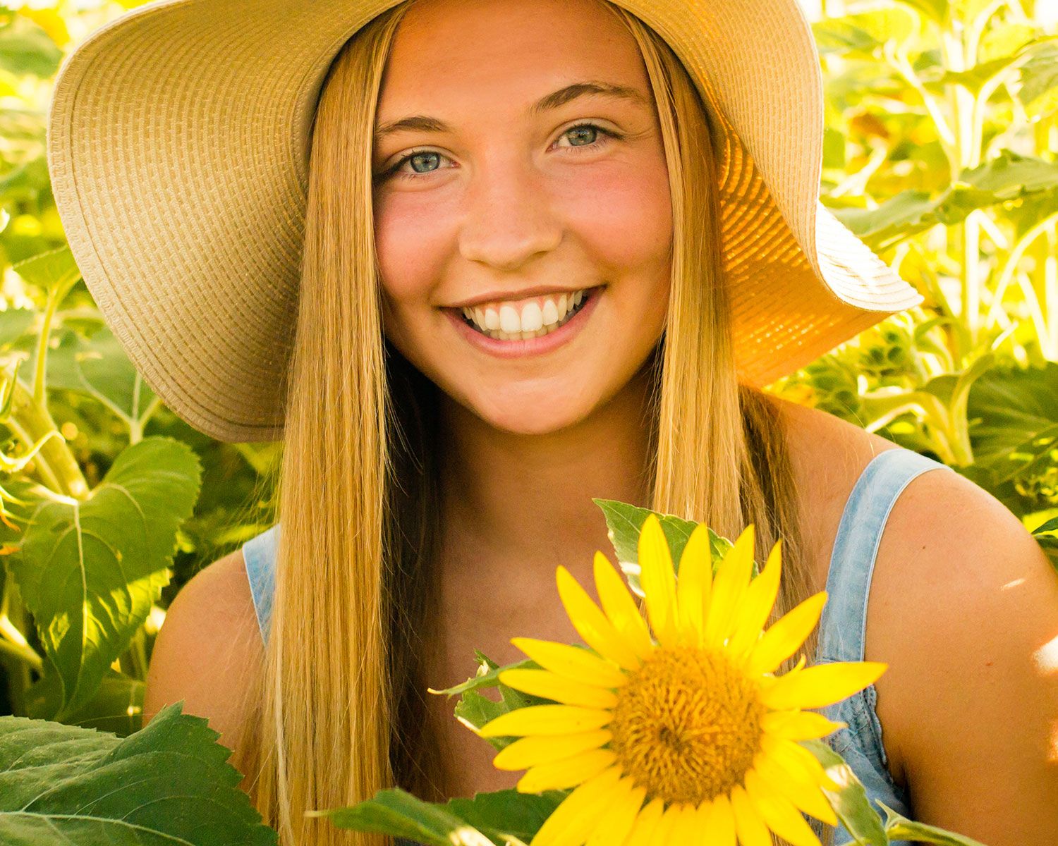 Sunflower Mini Photography Sessions Valley, NE - BrightSide Photography