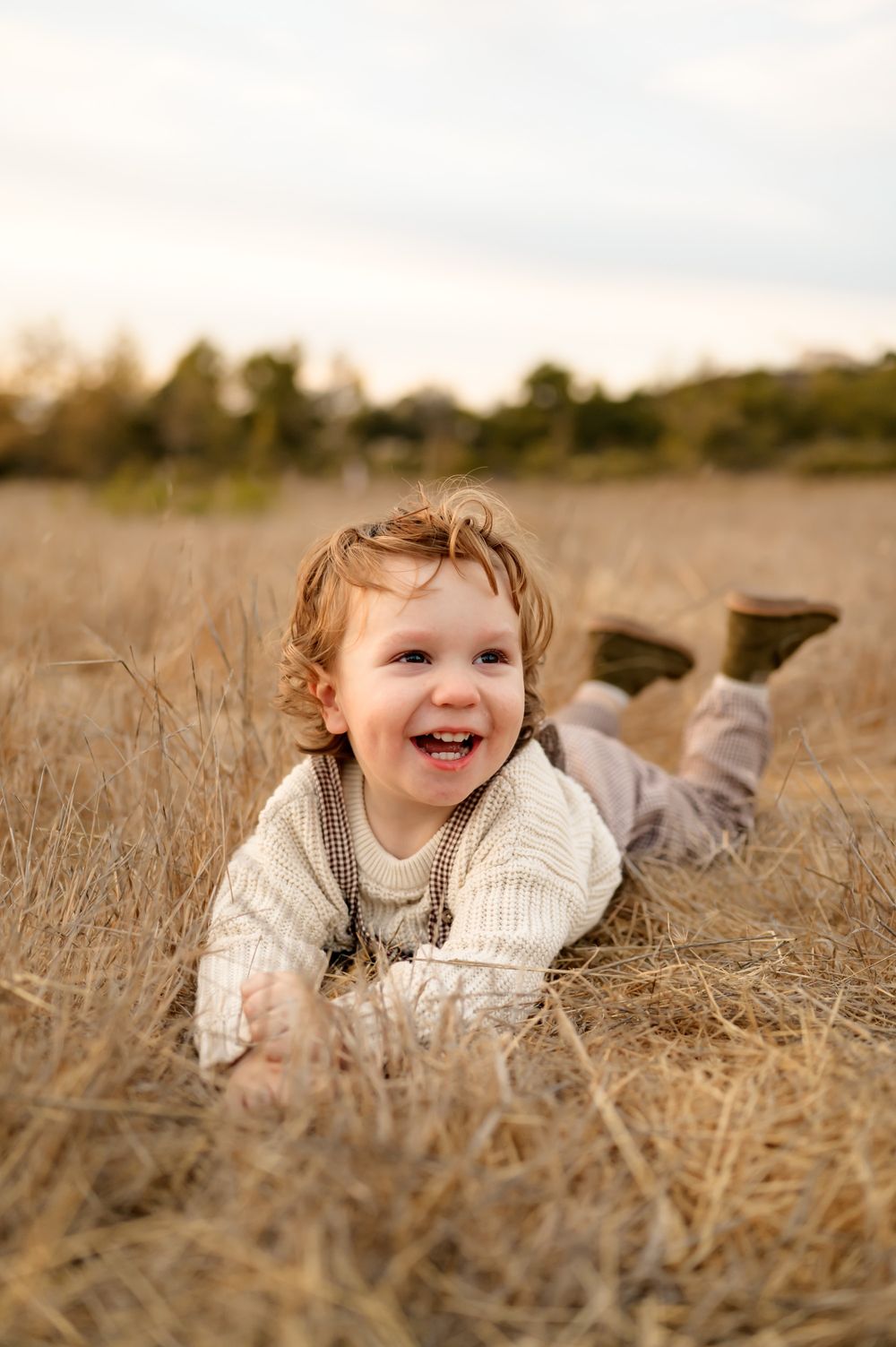 Thousand Oaks golden grassy field family photos by Ventura family photographer of toddler boy laying in golden grass during photoshoot