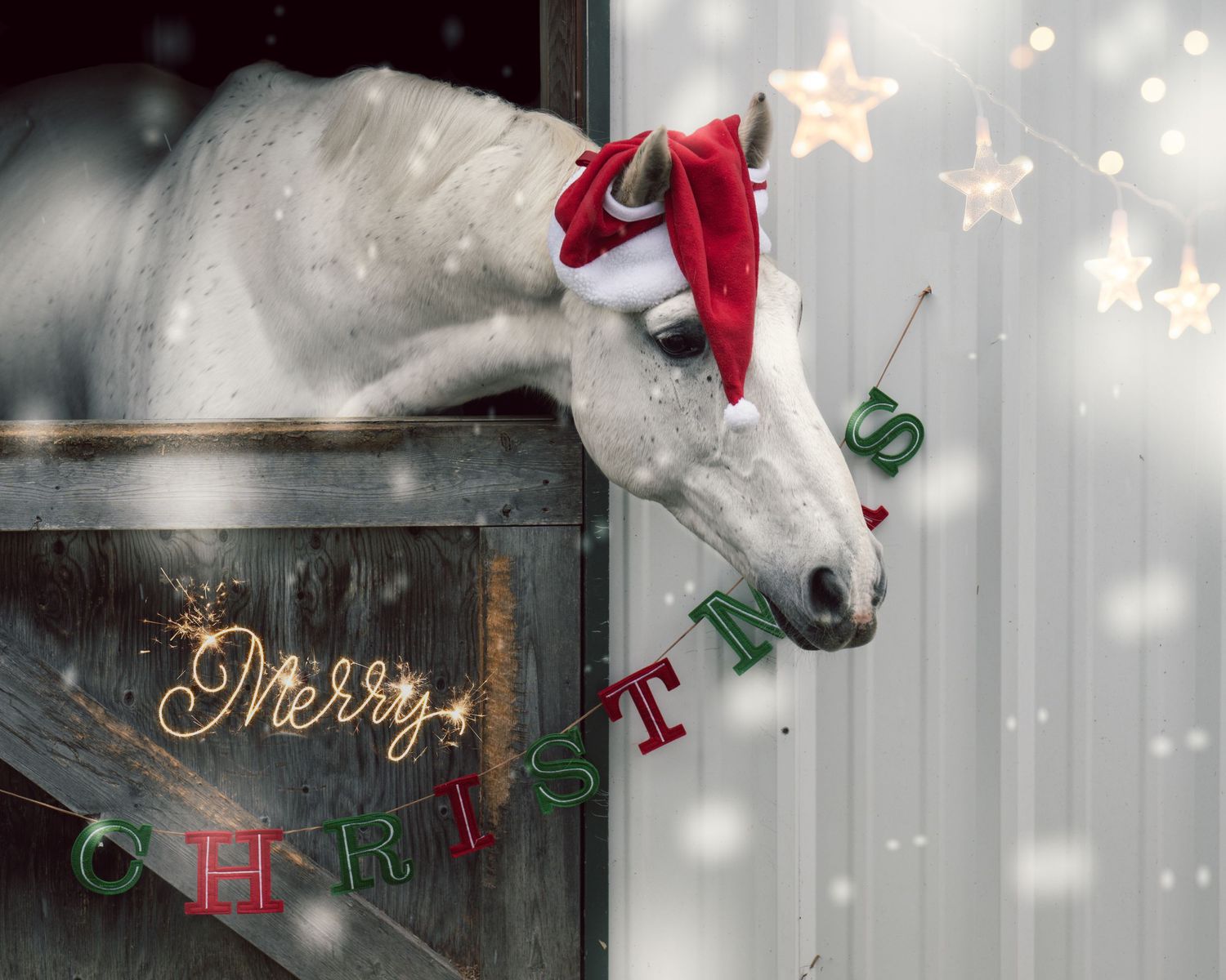 A white horse wearing a red Santa hat peers over a wall decorated with Christmas lights and 'Merry Christmas' text against a snowy backdrop.