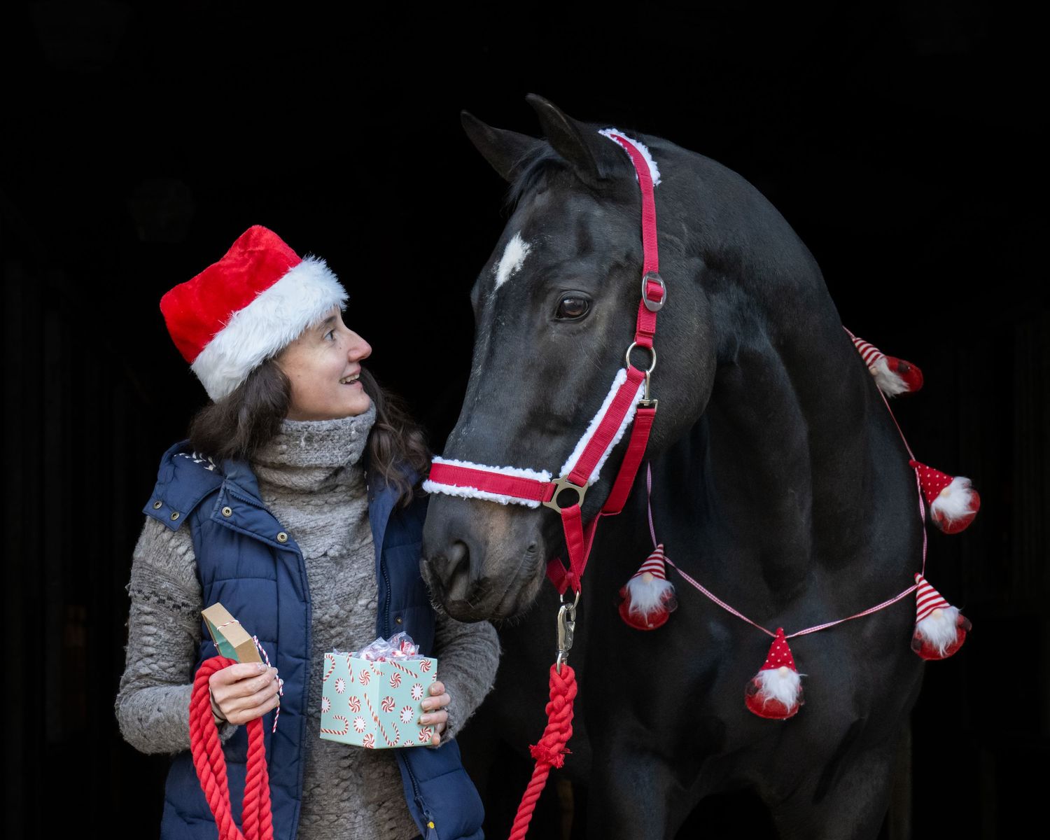 A black horse wearing a festive red halter with decorative Christmas baubles stands next to a woman in a Santa hat and scarf.