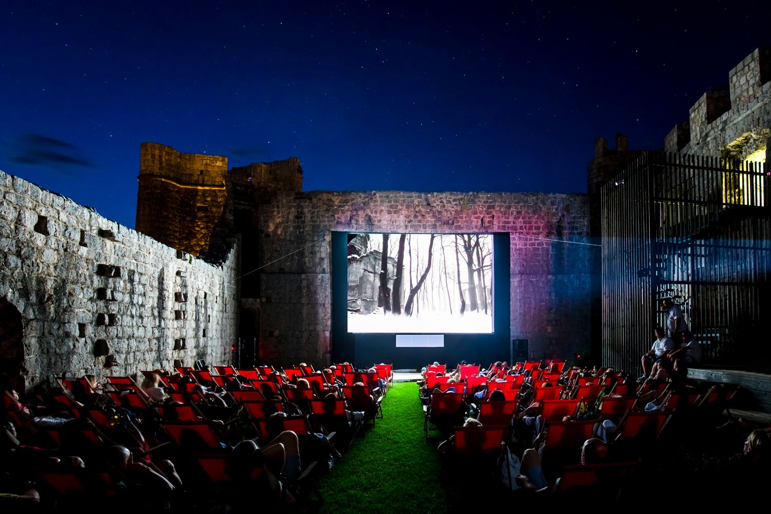 film festival ponta