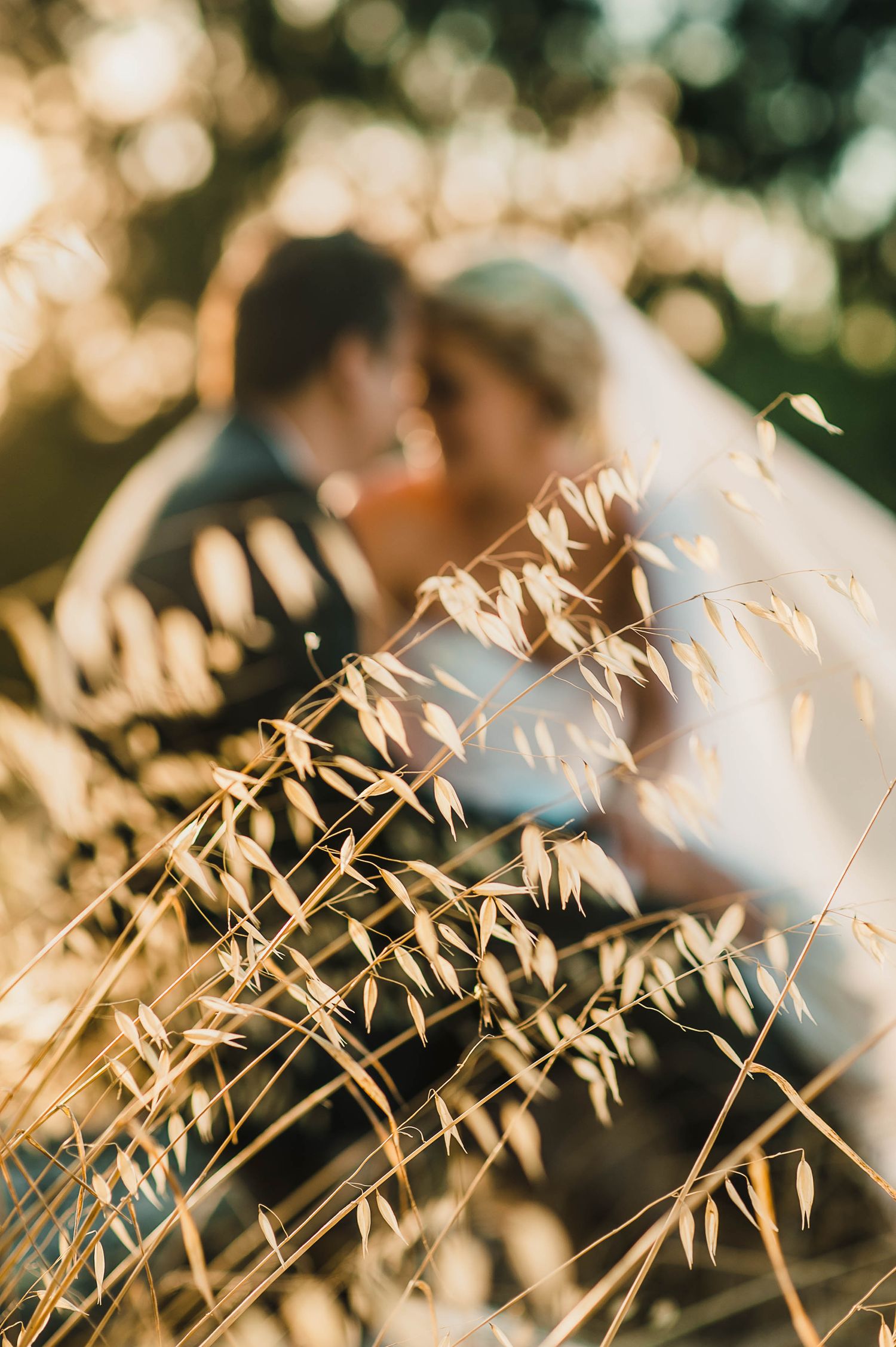 out of focus bride and groom behind tall grass