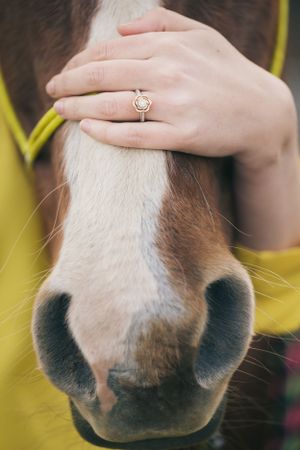 wedding ring rustic