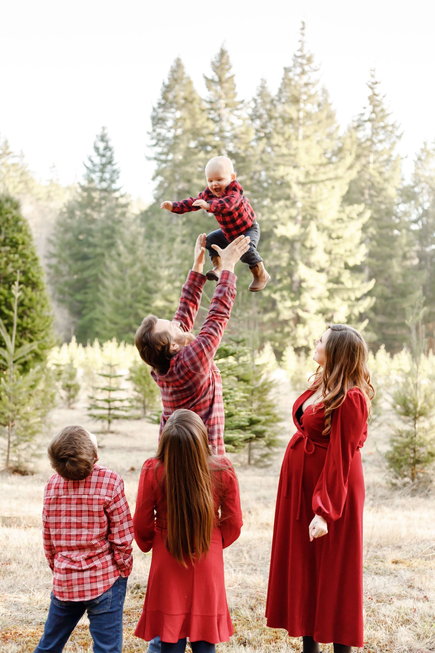 magical Christmas tree farm family portraits