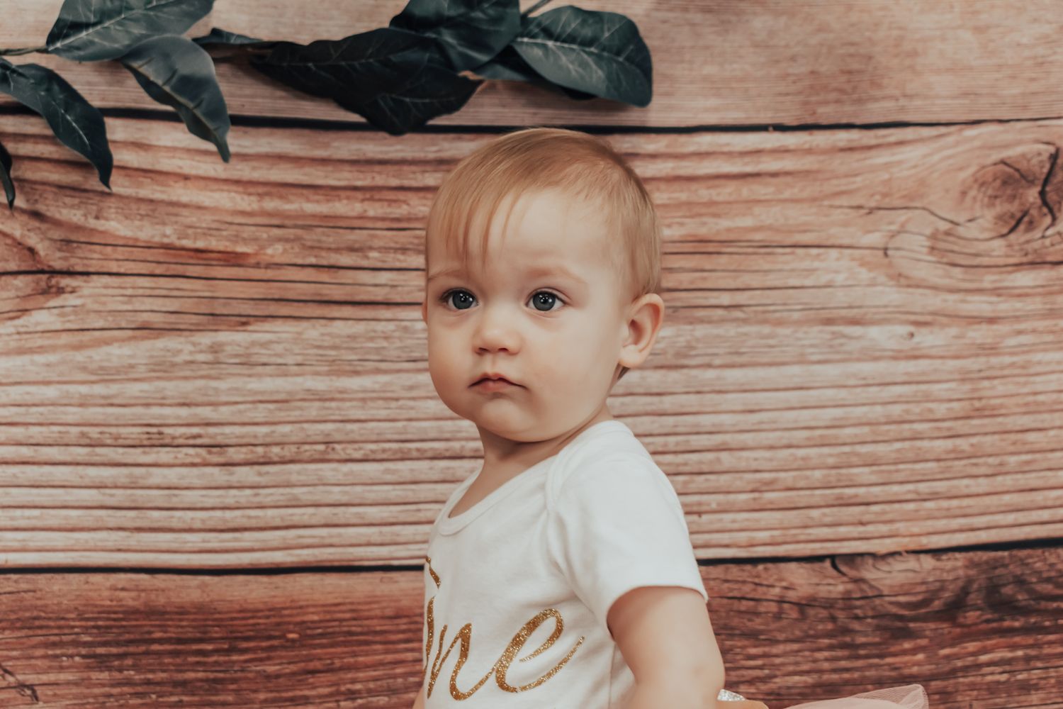 One year old portrait against rustic wooden backdrop with green foliage decoration.