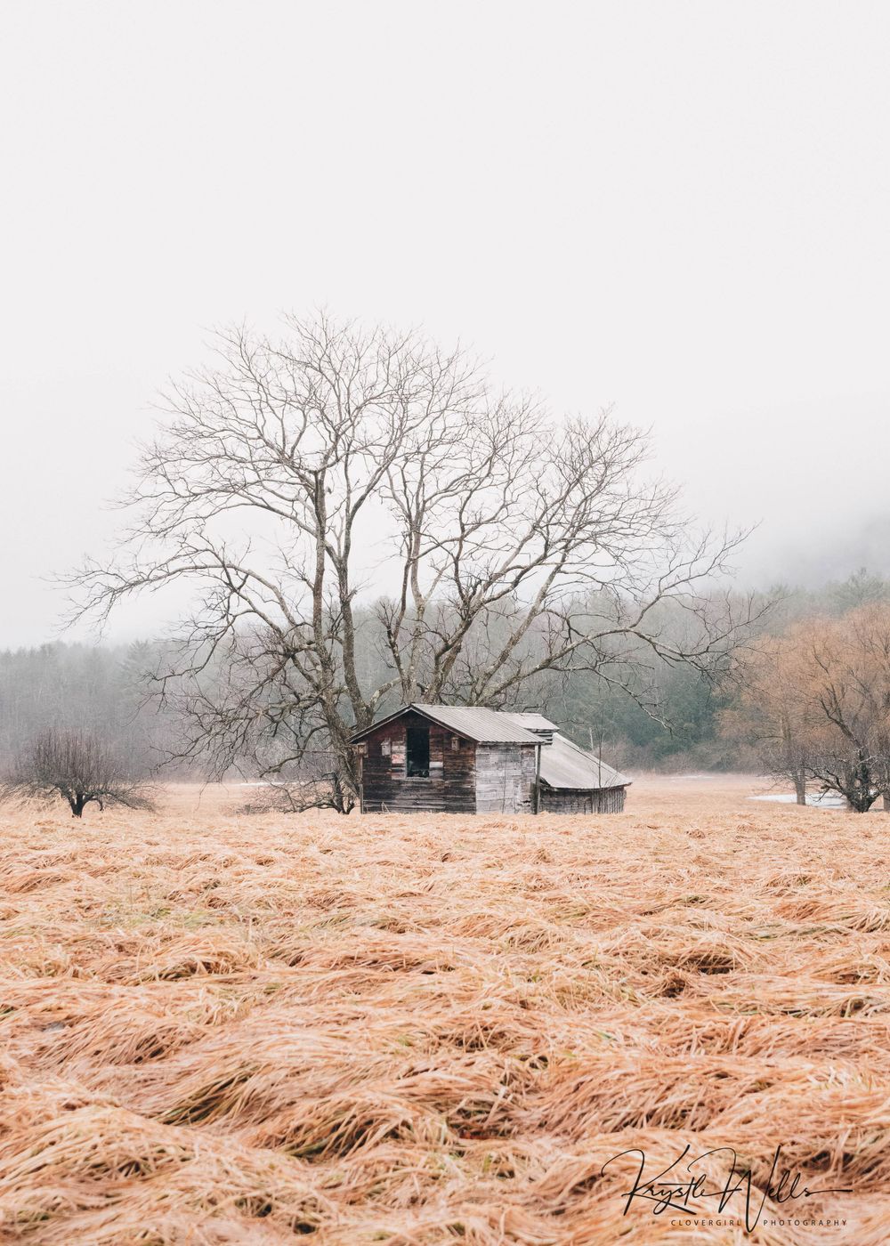 Clovergirl Photography By Krystle Wells