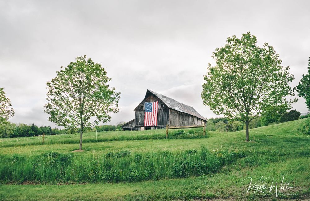 Clovergirl Photography By Krystle Wells