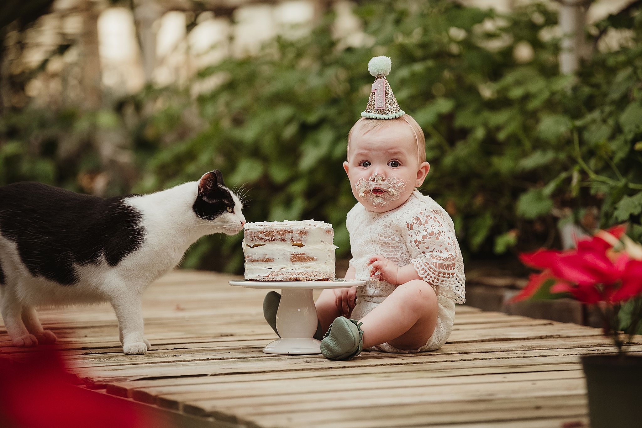 Small child in birthday hat watches black and white cat approach cake on wooden deck.