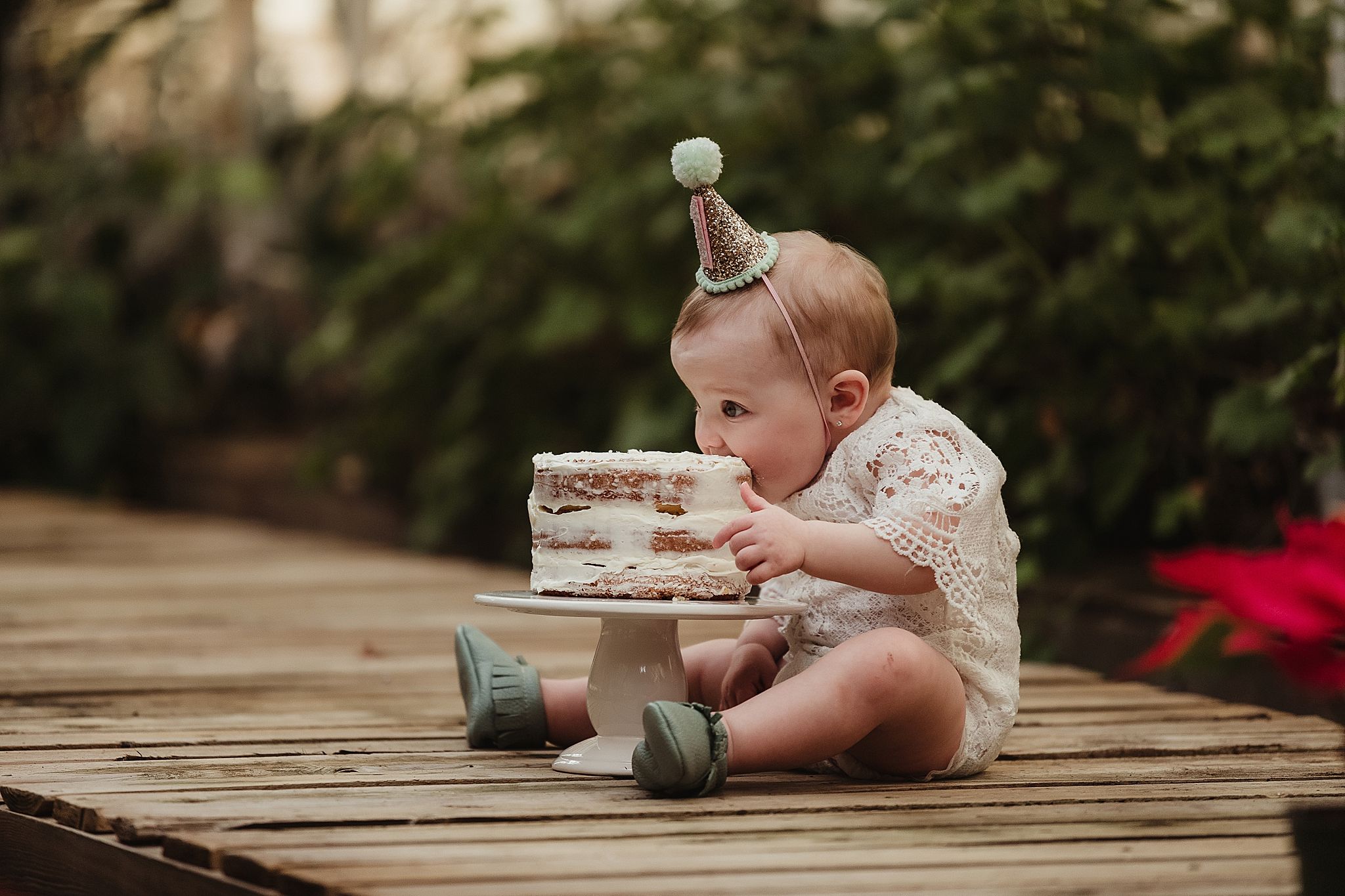 A celebration scene with a small cake on a wooden platform surrounded by greenery.