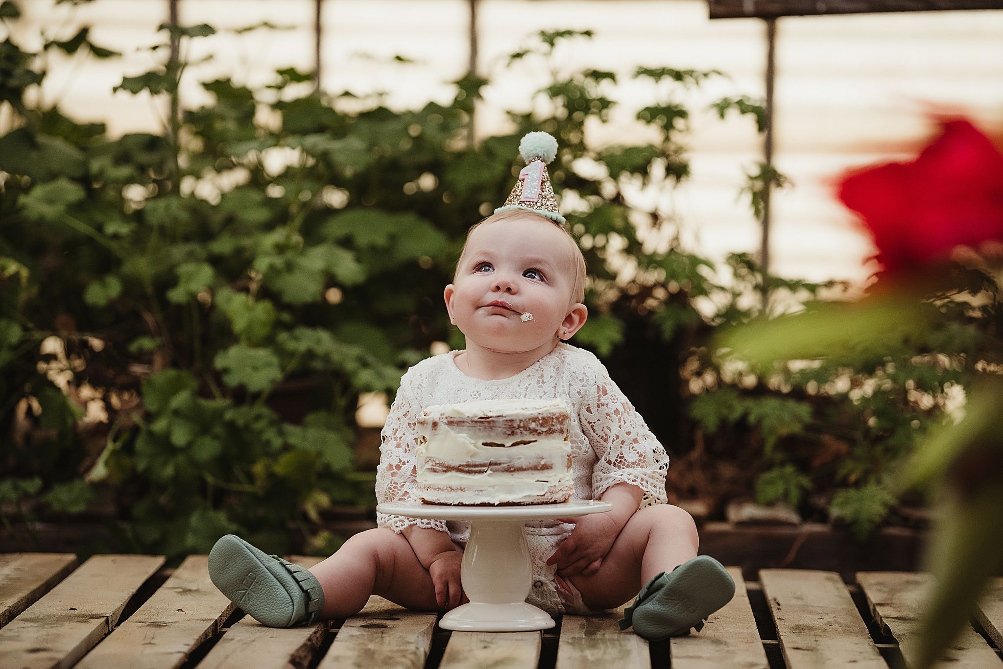 A joyful celebration scene with cake on wooden platform surrounded by greenhouse plants and red flowers.