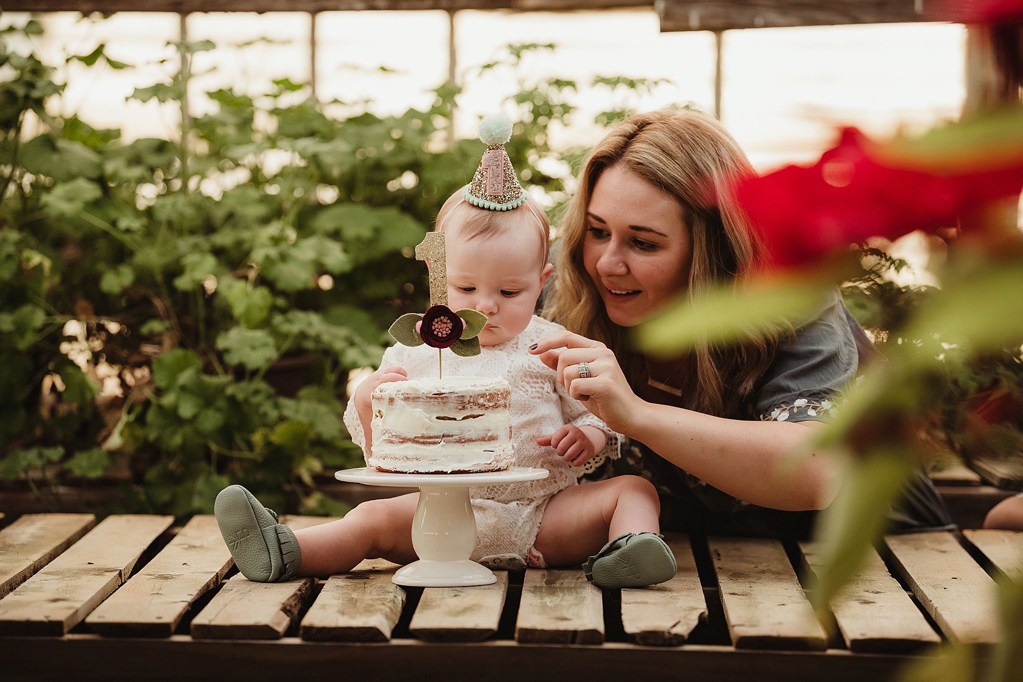 Sweet celebration moment with cake in a sunlit greenhouse setting.