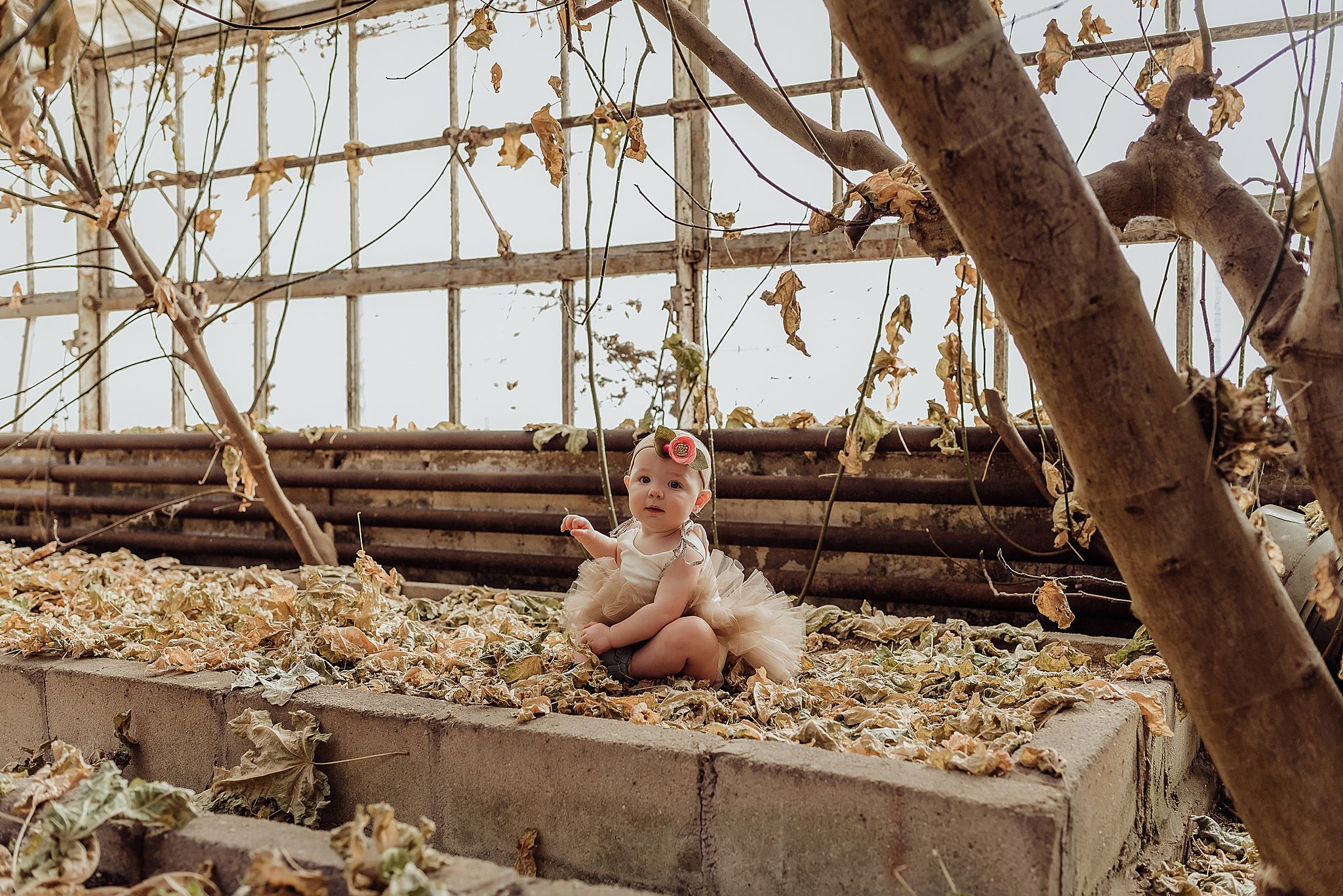 Baby in tulle outfit sits among fallen leaves in rustic greenhouse setting.