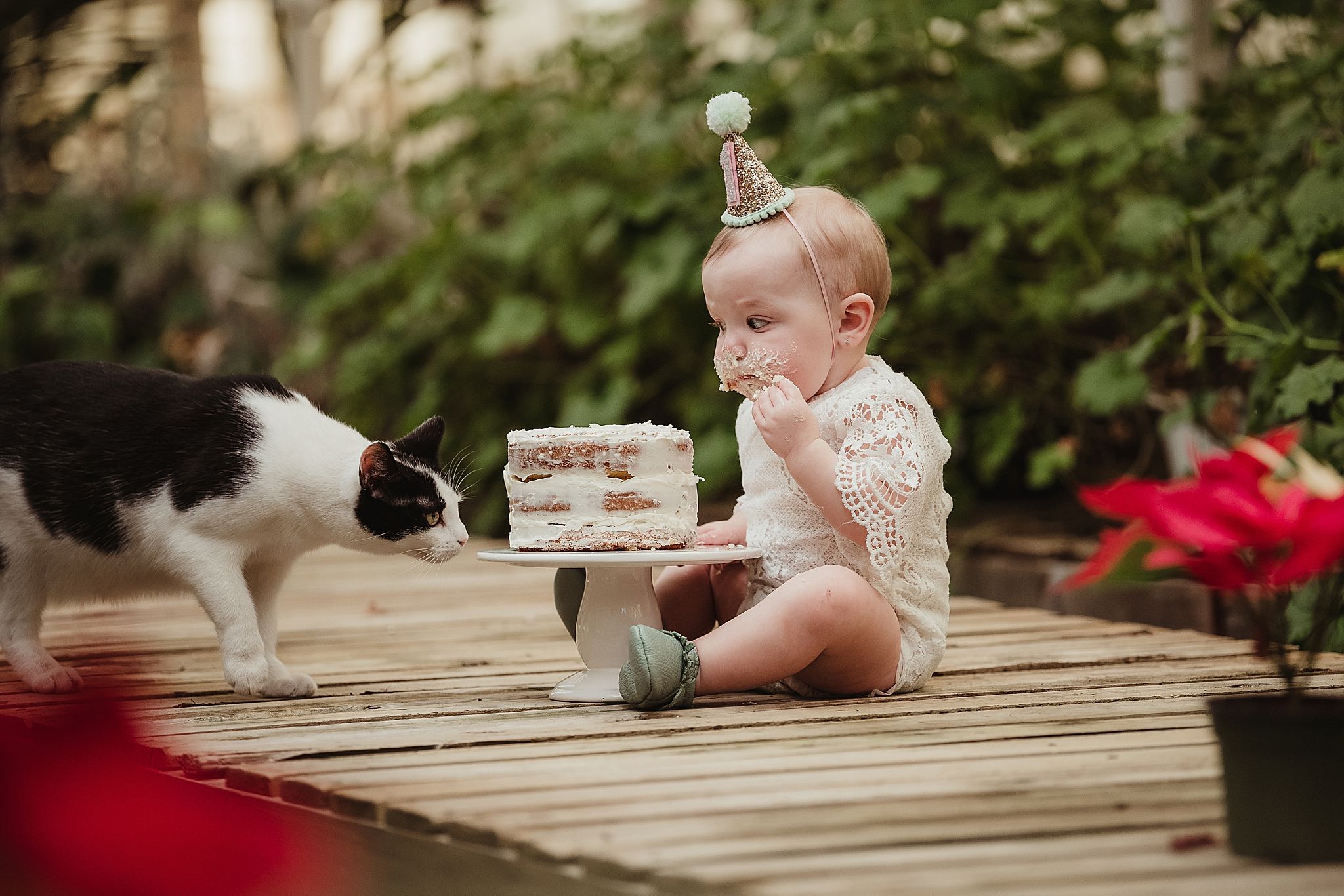 Baby celebrating first birthday on deck while cat investigates small cake.