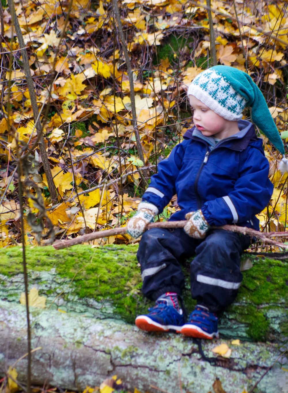 Small figure wearing winter clothing sits on mossy log surrounded by fallen autumn leaves in a woodland setting.