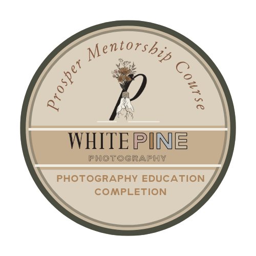 Prosper Mentorship Course completion pin