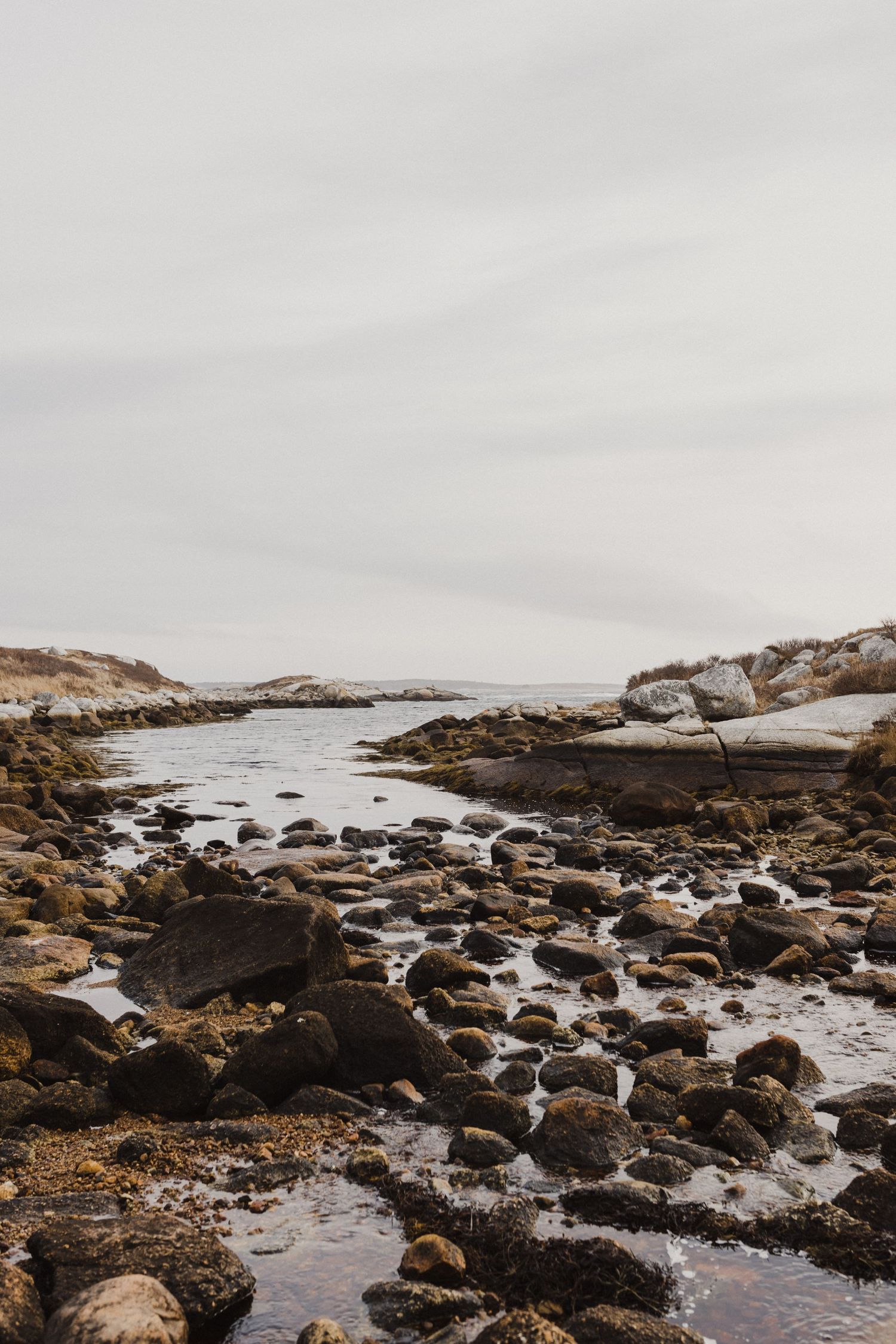Prospect Trails, Tanner Gun Rock, High Head Trail, Tanner's West Point, outside of Halifax Nova Scotia