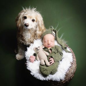 Newborn & Pet Lifestyle Portrait | Cozy Natural Photography with Whimsical Touch