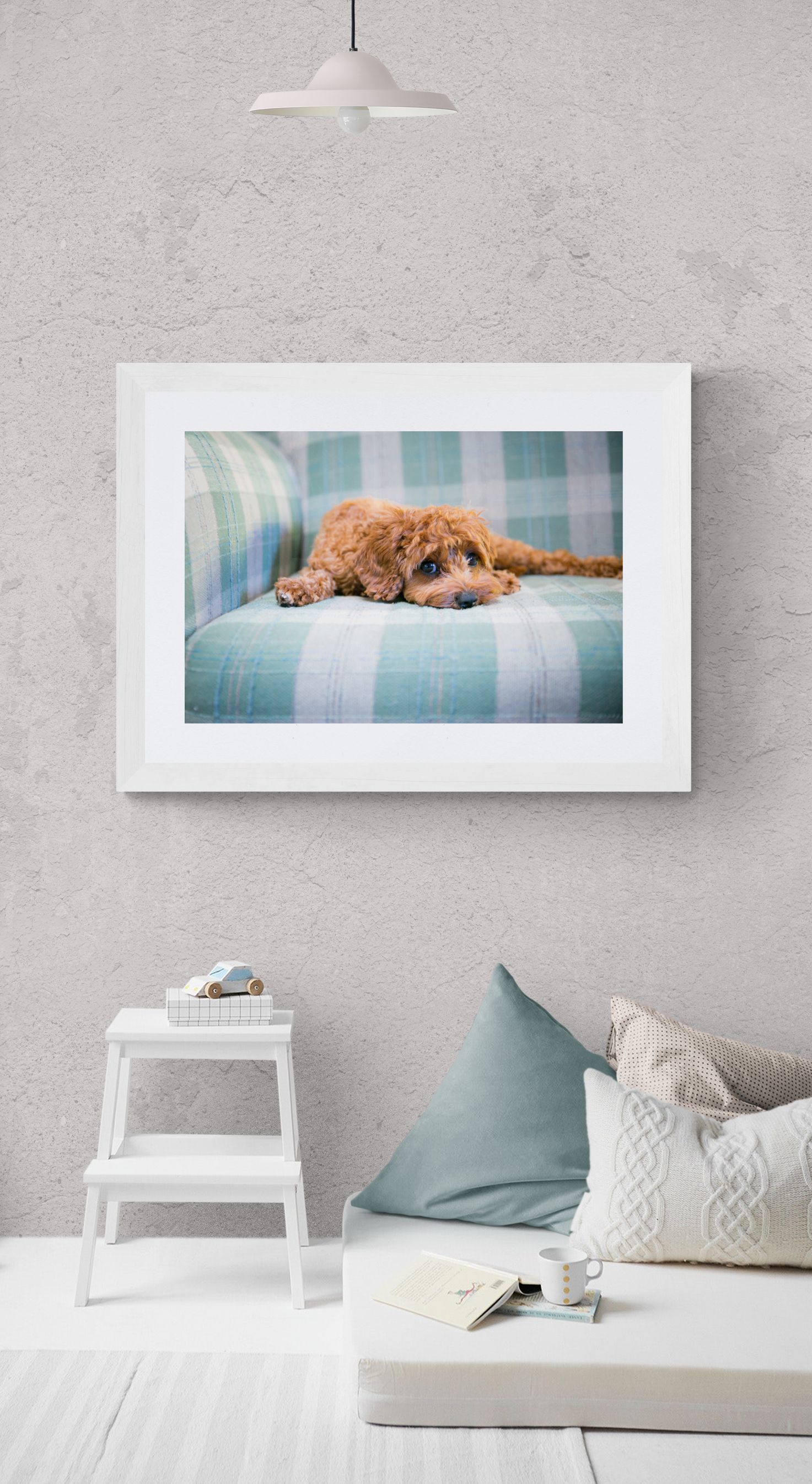 Adelaide Family Pet Portraits
