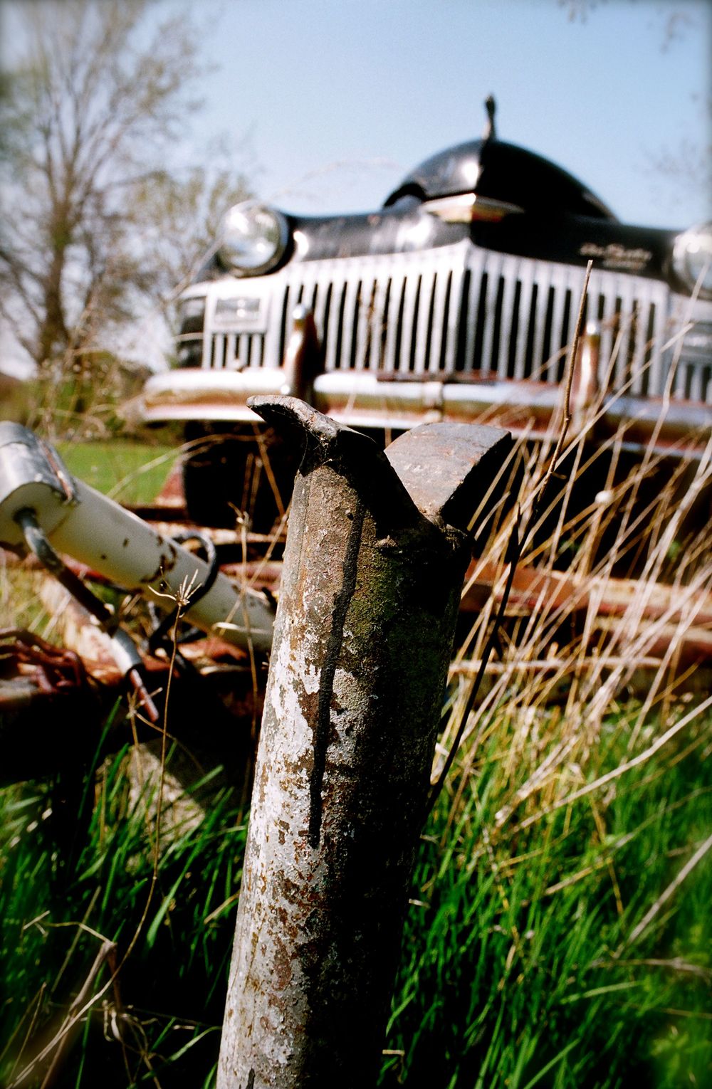Vintage car grille visible behind rusty metal post in overgrown grass, Belle River Ontario Canada.